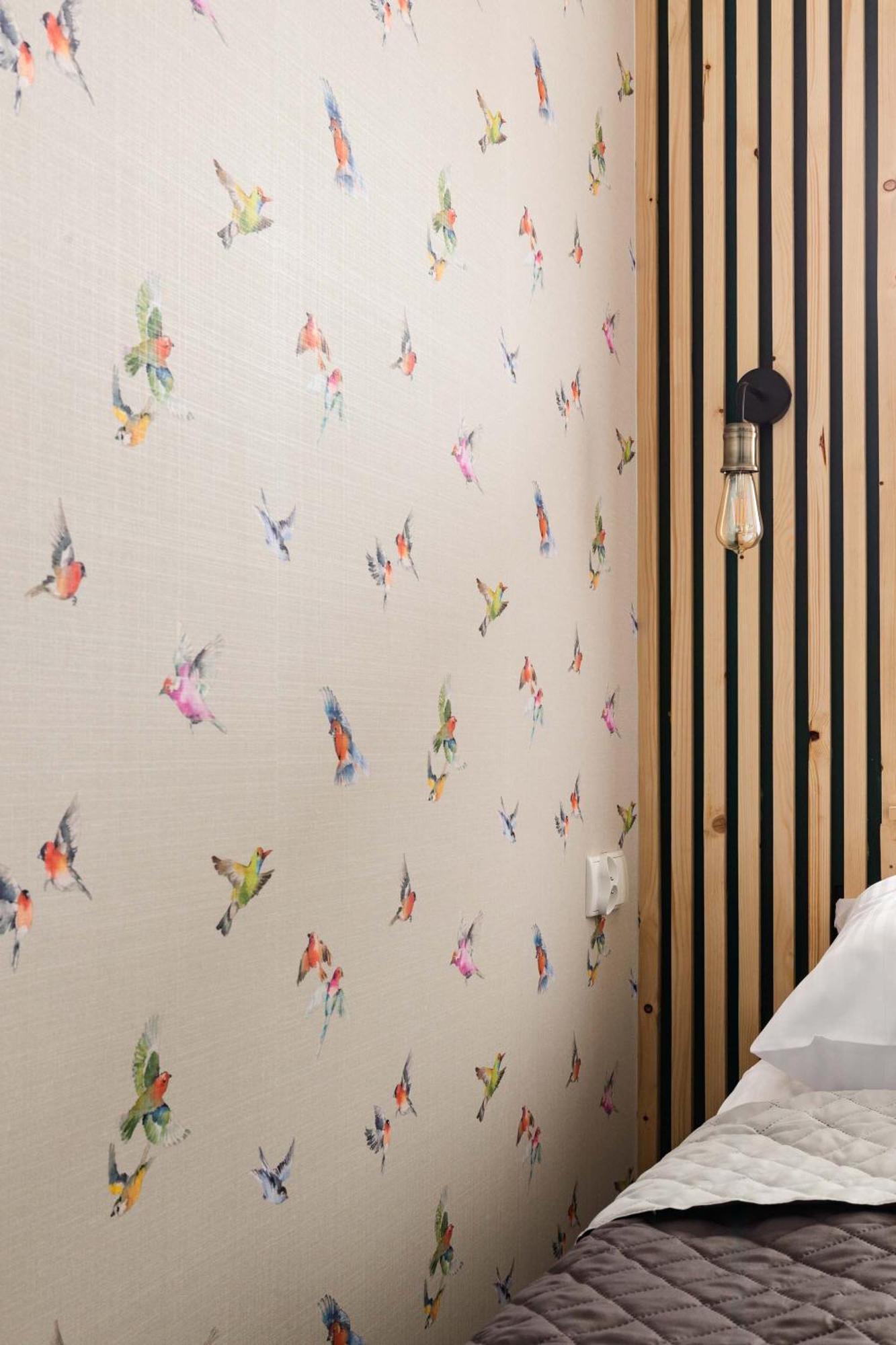 Apartament Mira Centrum 扎科帕内 外观 照片